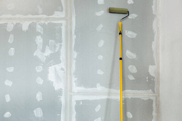 Wallpaper Removal and Painting in Apple Valley, MN